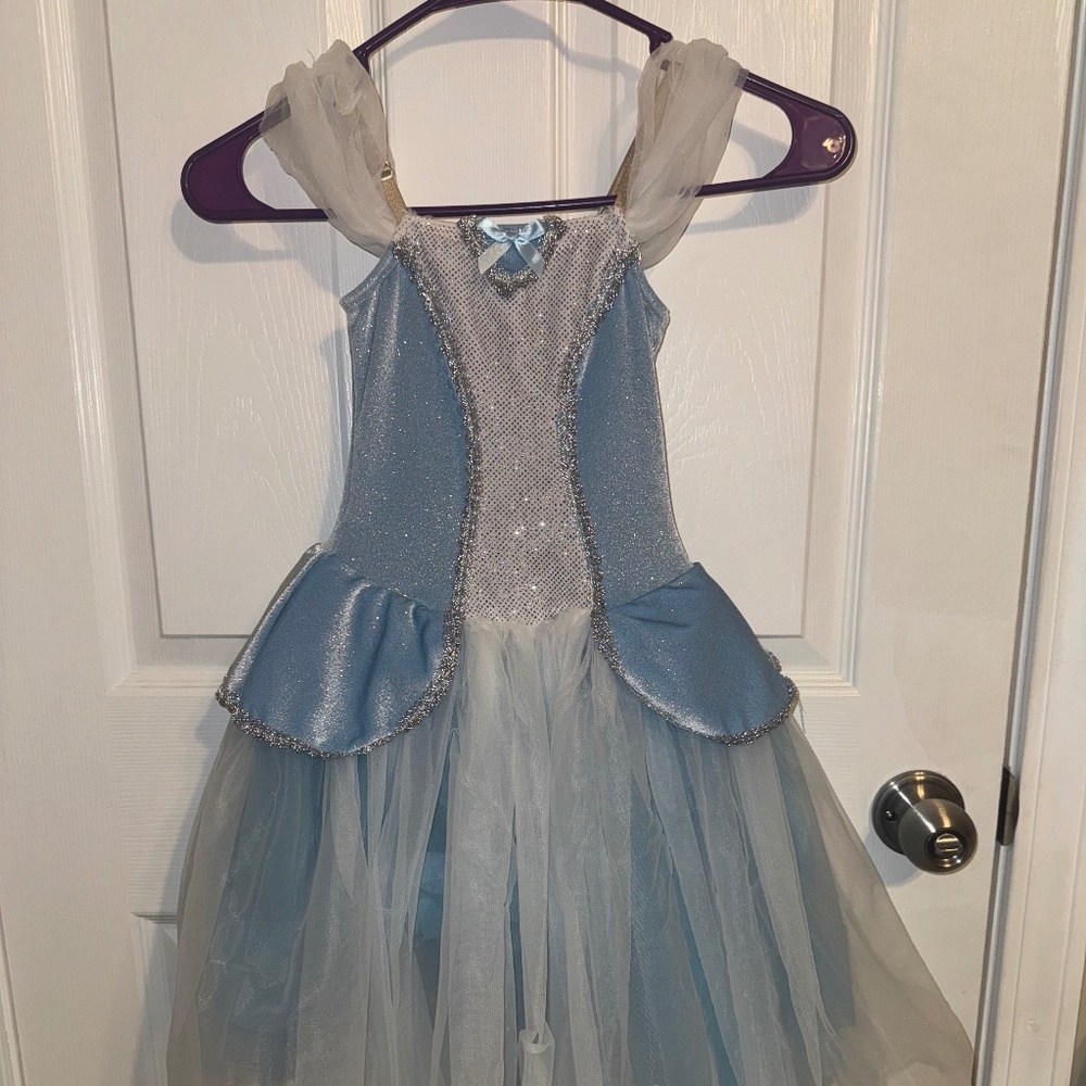 Cinderella Dance Costume